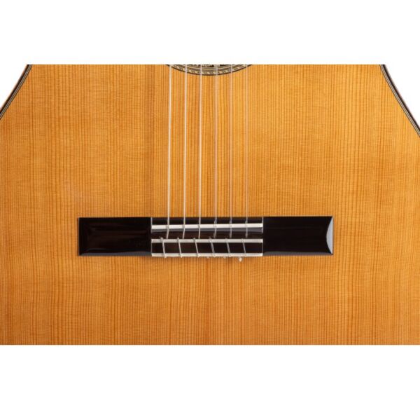 Admira Carmen serie flamenco guitarra envio gratis