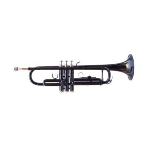 J.Michael TR430CBK trompeta negra en Si Bemol envio gratis