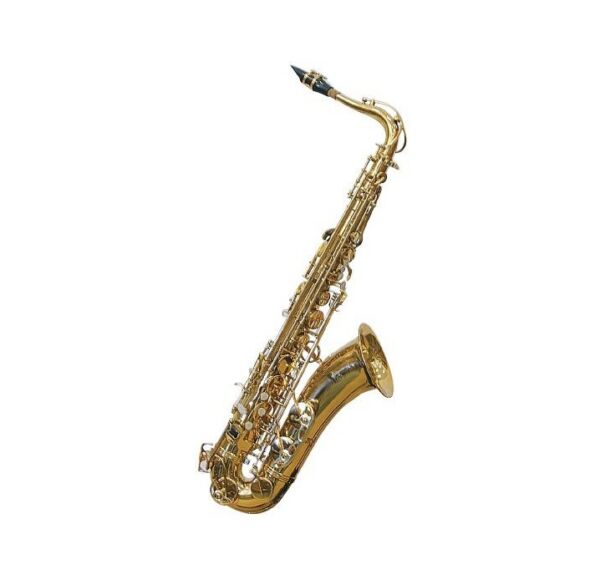 J. Michael TN900 saxo tenor lacado envio gratis
