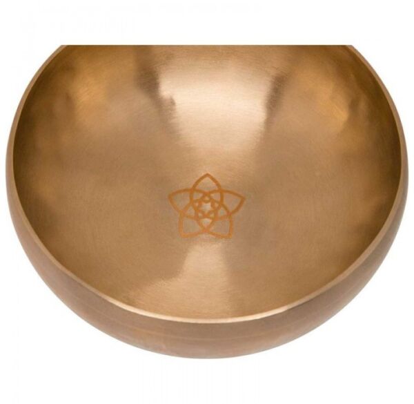 Meinl Sonic Energy SB-S-VF-1000 cuenco tibetano envio gratis