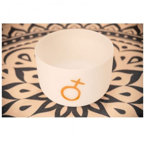 Meinl Sonic Energy PCSB12EPL cuenco tibetano envio gratis