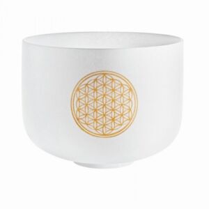 Meinl sonic Energy PCSB10FOL cuenco tibetano envio gratis