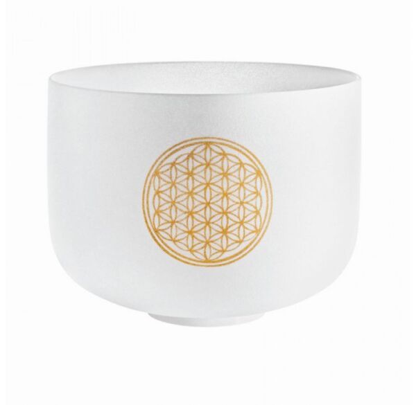 Meinl sonic Energy PCSB10FOL cuenco tibetano envio gratis
