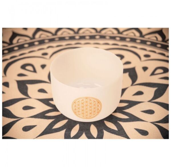 Meinl sonic Energy PCSB10FOL cuenco tibetano envio gratis