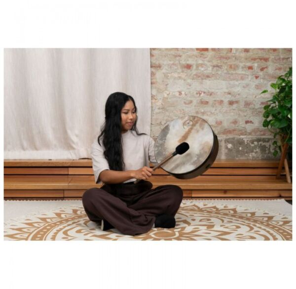 Meinl Sonic Energy RD14WB pandero envio gratis