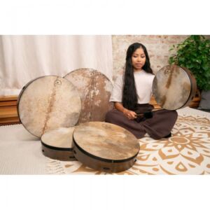 Meinl Sonic Energy  RD20WB pandero envio gratis