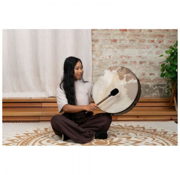 Meinl Sonic Energy RD20WB pandero envio gratis