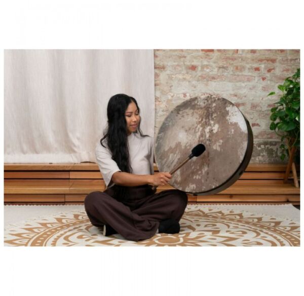 Meinl Sonic Energy RD22WB pandero envio gratis