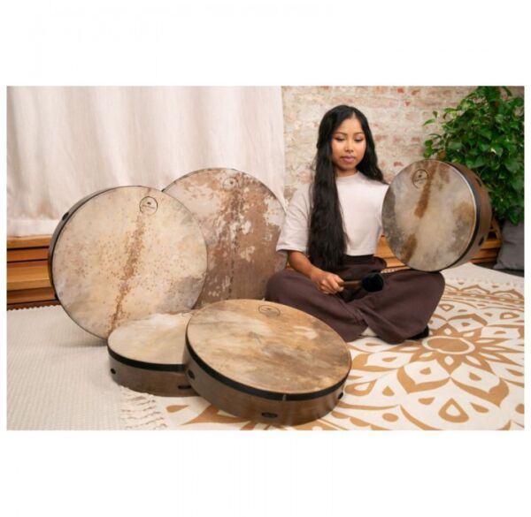 Meinl Sonic Energy RD22WB pandero envio gratis