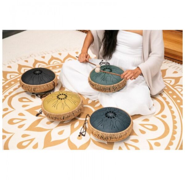 Meinl Sonic Energy MOSTD2NB tongue drum envio gratis