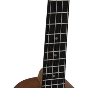 Aloha UK500EQ ukelele soprano electrificado envio gratis