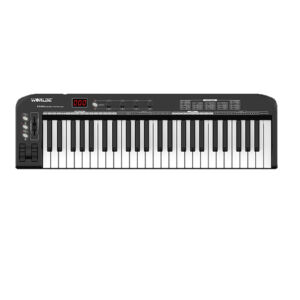 Teclado controlador de 49 teclas Worlde KS49A envio gratis