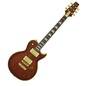 Carrito 1 Guitarra eléctrica Aria PE PEF80SBR marrón envio gratis