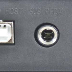 Teclado de 61 teclas con respuesta al tacto EK EKT750 envio gratis