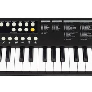 Teclado 37 teclas Medeli MK1/BK envio gratis