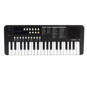 Teclado 37 teclas Medeli MK1/BK envio gratis