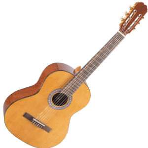 Home 10 Guitarra clásica Rocio 30 envio gratis