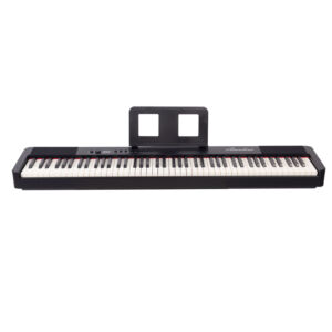 Piano digital 88 teclas Hammer Amadeus PA-10 BK envio gratis