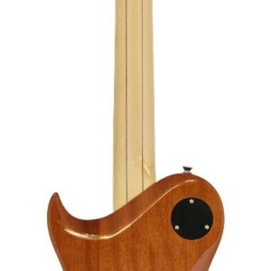 Home 15 Guitarra eléctrica Aria Royale Miel PE480SB envio gratis